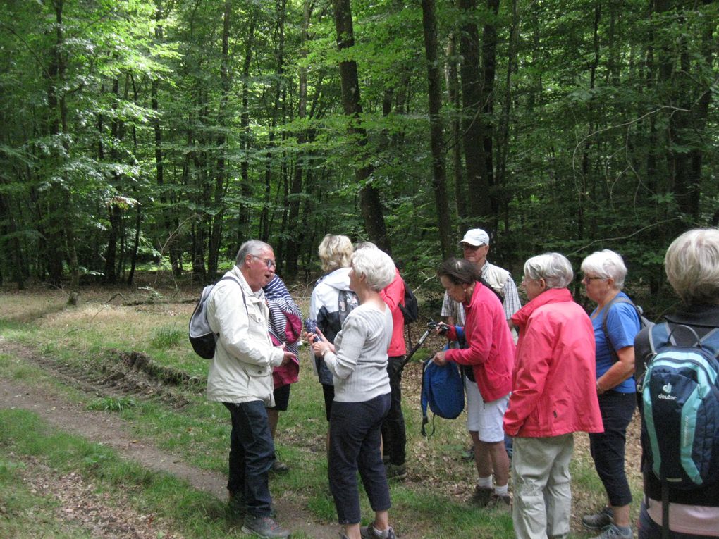 Sortie en forêt pour le centre de loisirs Joie et santé !