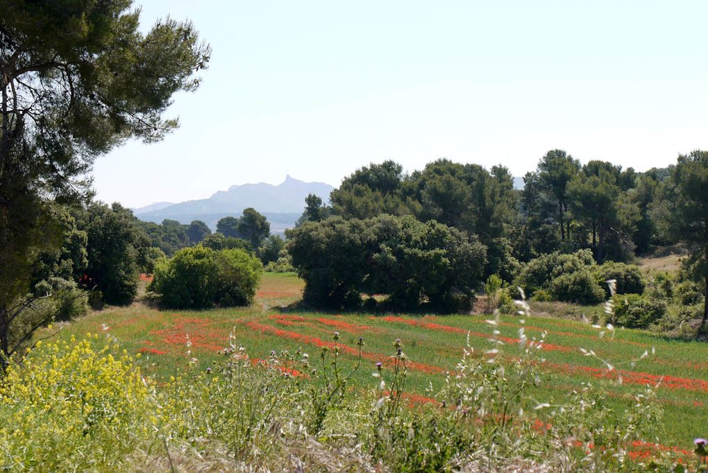 Rallye du Clu-Photo de l'ADSB