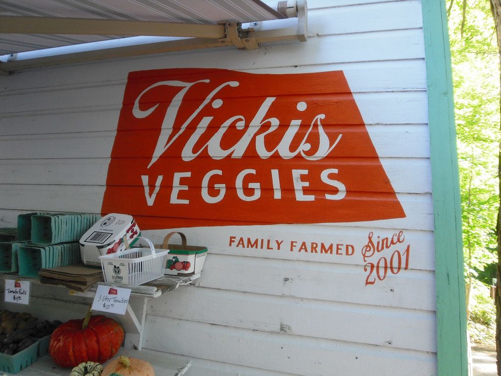 Album - Vickis-veggies