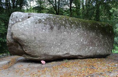 Cochonou à la Roche tremblante de Huelgoat