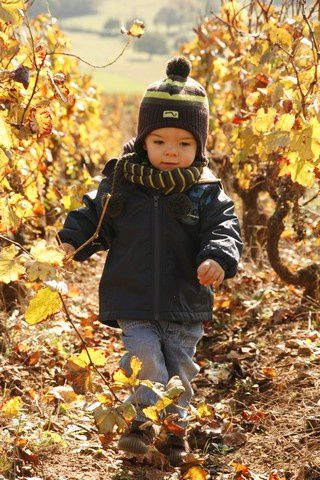 Je vous laisse découvrir nos premières vacances en Bourgogne. Un vrai moment de bonheur pour notre arrière grand mamie qui a bien profité de moi et de ma petite soeur.