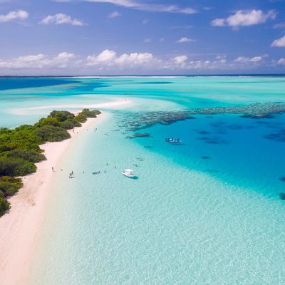 La soustraction des îles avec les pertes de biodiversités qui en découlent à commencé.