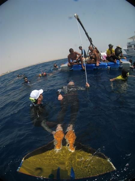 Freediving World team championship 2008 in Sharm El sheik