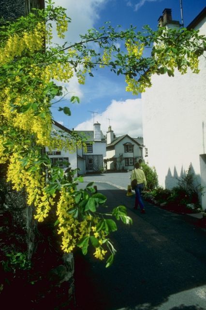 Album - merveillese-nature &quot;ANGLETERRE&quot;