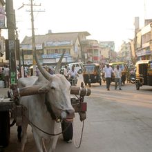 INDE - KARNATAKA