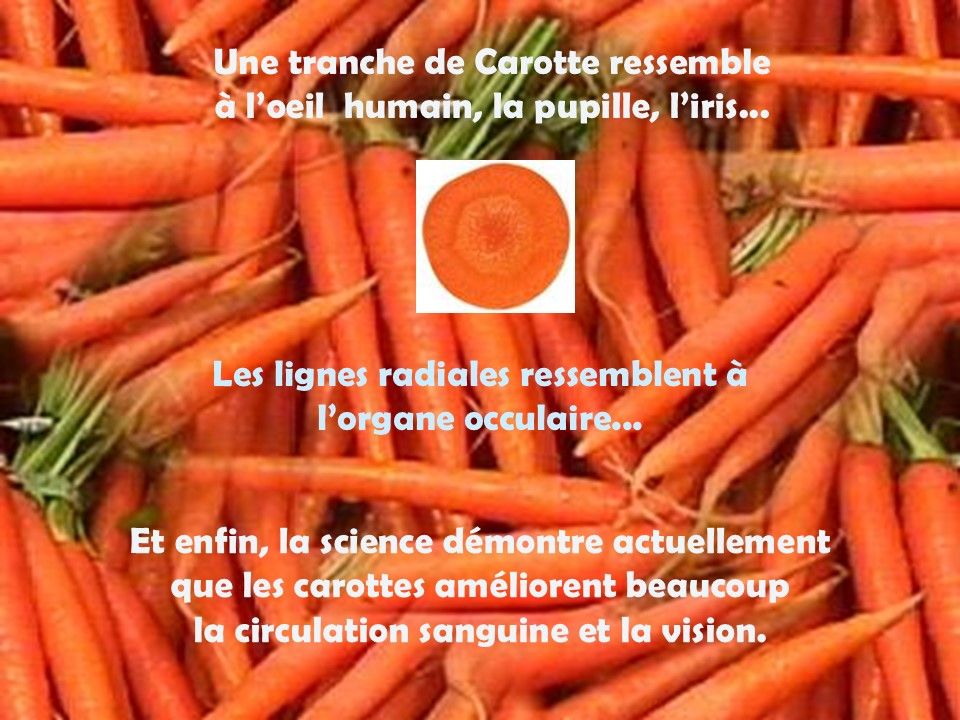 Divers - La pharmacie de Dieu