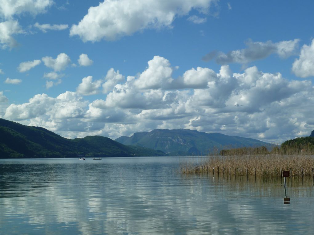 Album - Lac-du-Bourget