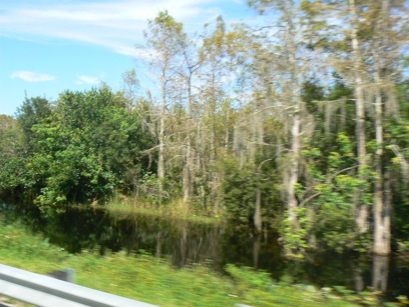 Album - Floride
