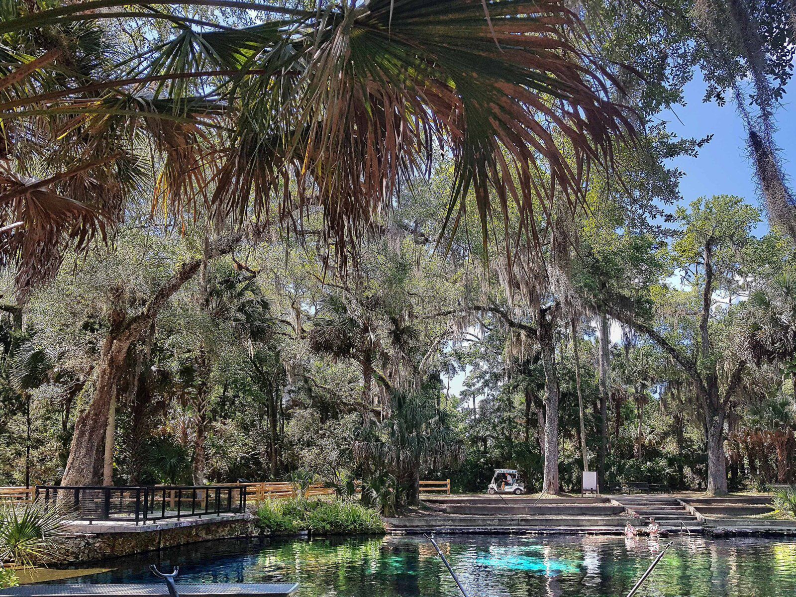 Juniper Springs