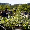 Un potager qui ne manque pas d'air...