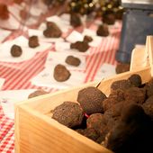 Comité de Promotion des Produits Agricoles d'Uzès