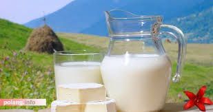 Things You Must Know About Lactose-Totally free Milk