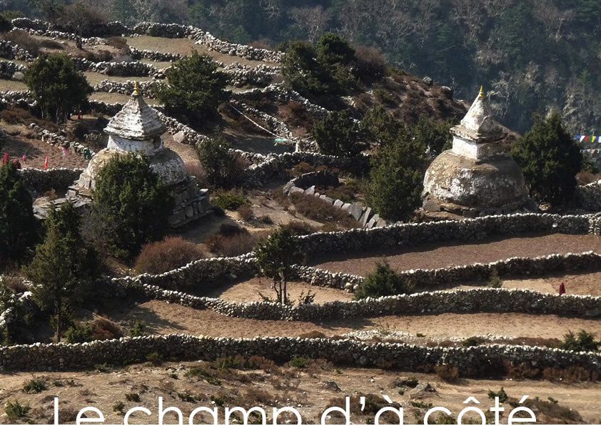 Un parcours au long du Solo-Khumbu de 2000 à 5500 m. 