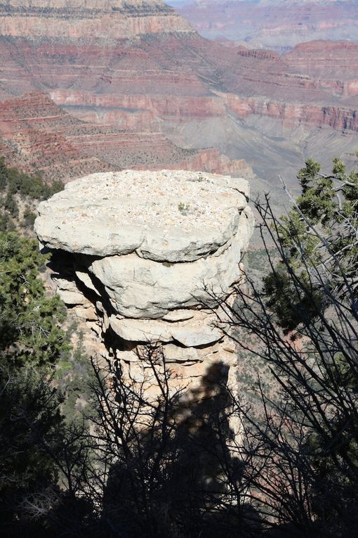 The road trip - Grand Canyon