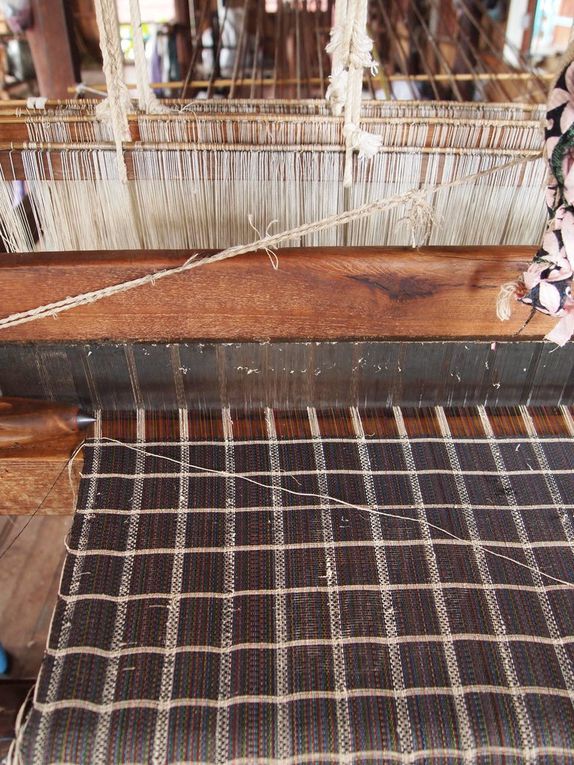 Fabrication d'un tissu en fibres de lotus & tissage de la soie