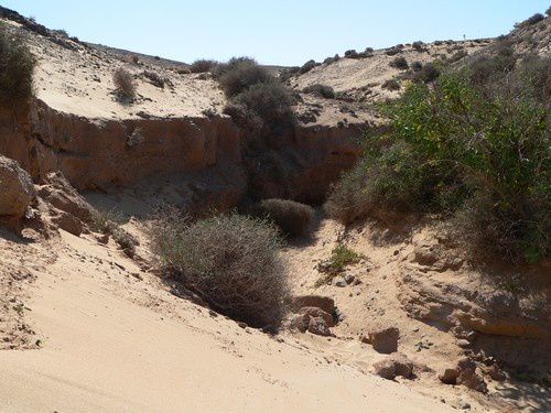 Découverte des plages de Lanzarote.