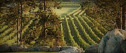 #Red Table Wine Producers New Jersey Vineyards