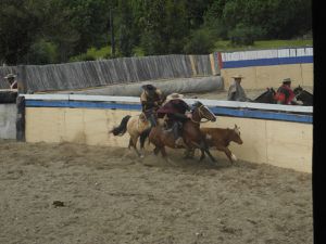 De Coyhaque à Puerto-Cisnes