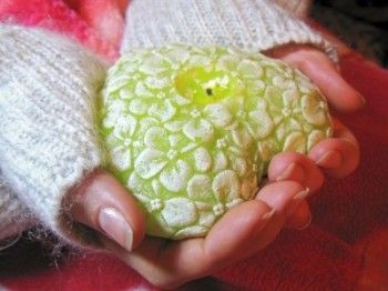 IL EST POSSIBLE D'ENTRAINER SON CERVEAU A LA COMPASSION