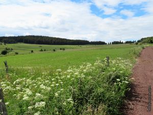 Paysages de Haute-Loire