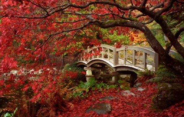 Hans Andersen Brendekilde, Le Jardin Japonais, vers 1900. 