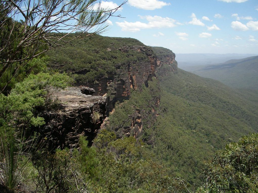 Album - The-Ultimate-Oz-Experience---Sydney + Blue Mountains