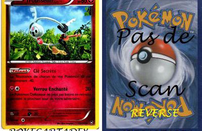 SERIE/XY/POINGS FURIEUX/71-80/73/111