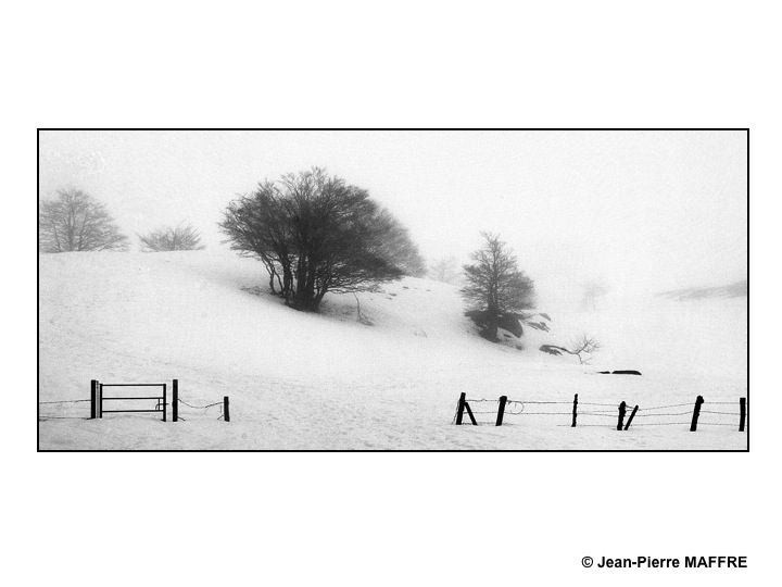 Les grands espaces enneigés de l'Aubrac vivent au rythme du vent et de la lumière.