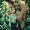El Gigantopithecus. El mono más grande de la historia.