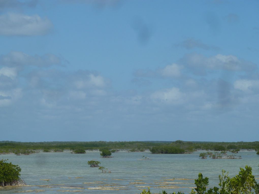 Album - Cuba-de-Trinidad-au-Cayo-de-Santa-Maria