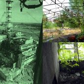 Tchernobyl : une histoire naturelle - ARTE - Mardi, 21 août 2012 à 20:50 - Le blog de habitat-durable