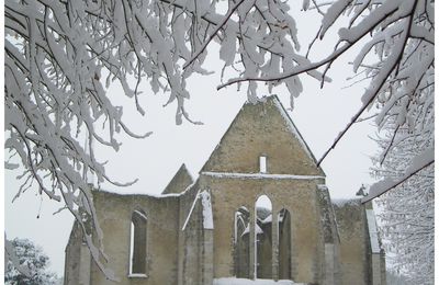 Loiret sous la neige