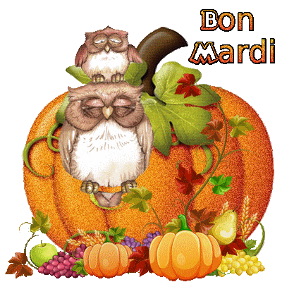 Gif animé Bon mardi avec chouette et son petit - les gifs animés de dentelledelune