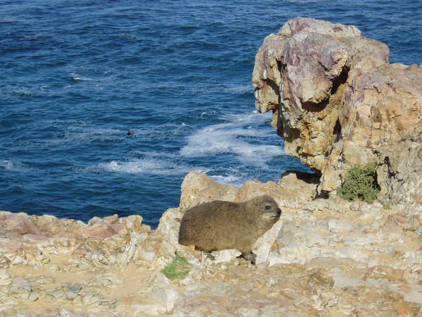 Album - Arniston Agulhas Hermanus