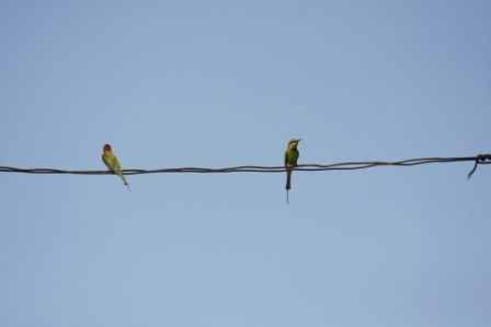 Album - MEKONG-VERS-PHNOM-PENH