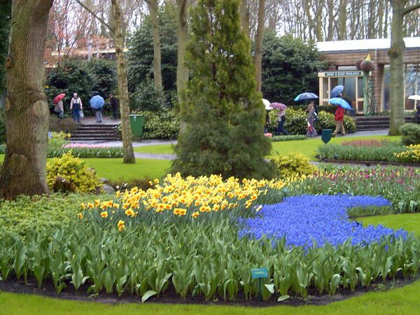 <p>Photos prises au jardin de Keukenhof aux Pays Bas</p>
<p>Il faisait froid et humide, mais c'était beau!</p>