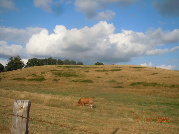 Corrèze in Summer