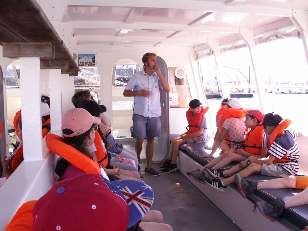 Les CM2 sur le Bassin d'Arcachon