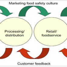 Le comportement humain et la culture de l'entreprise peuvent avoir un impact sur l'hygiène et la sécurité des aliments