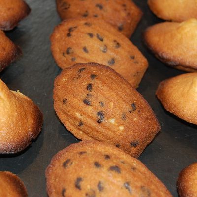 Madeleines aux pépites de chocolat