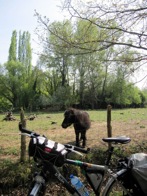 balades en vélo