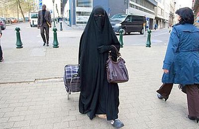 Le texte contre la burqa adopté