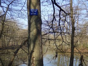 Attention les étangs de la forêt de Rambouillet sont dangereux ...