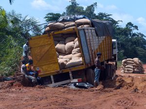 Première visite dans la &quot;boucle du cacao&quot;