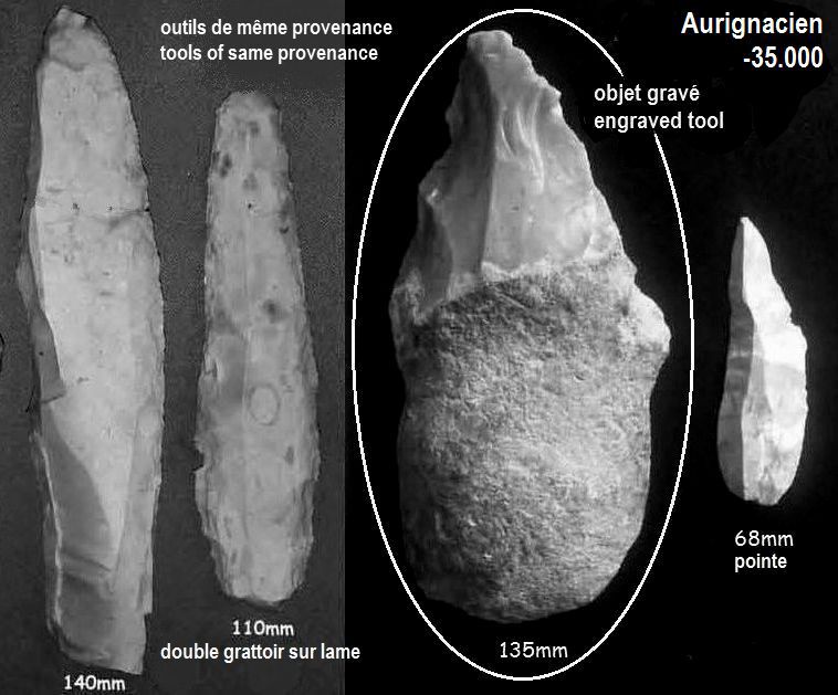 art aurignacien préhistoire paléolithique cheval chauvet