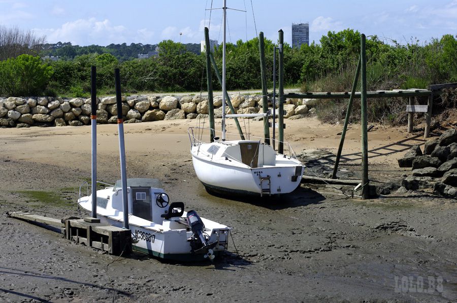 visite du port du rocher sur la commune de la teste.