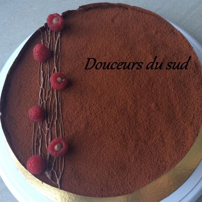 Entremet chocolat framboise 100% vegan