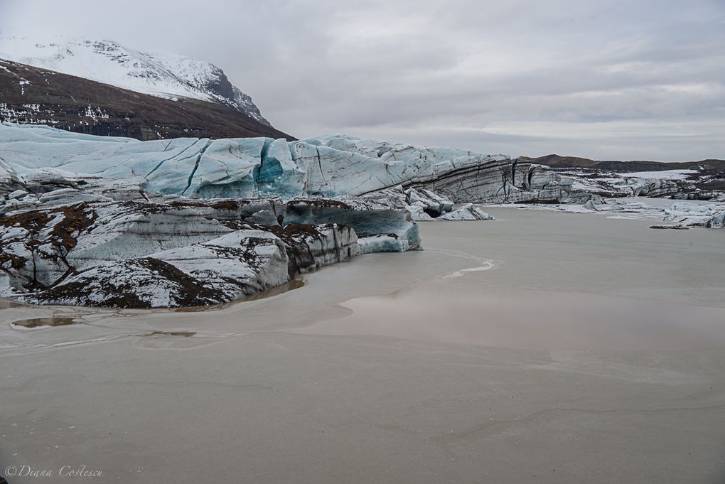 Svartifoss et le Vatnajökull à Skaftafell