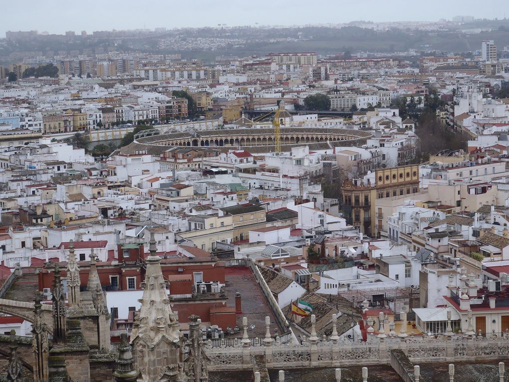 seville,4 jours pass'e là bas.Surment une ds plu beles viles que j'ai visité,où que l'on pose les yeux on en prend plein la vue.Le climat etait meilleur,ben qu'humide, ce qui m'aura permis de profiter de la ville au maximum.