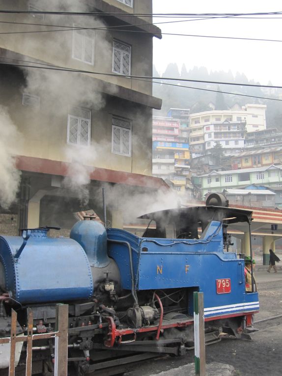 Album - INDE--Darjeeling---Treck